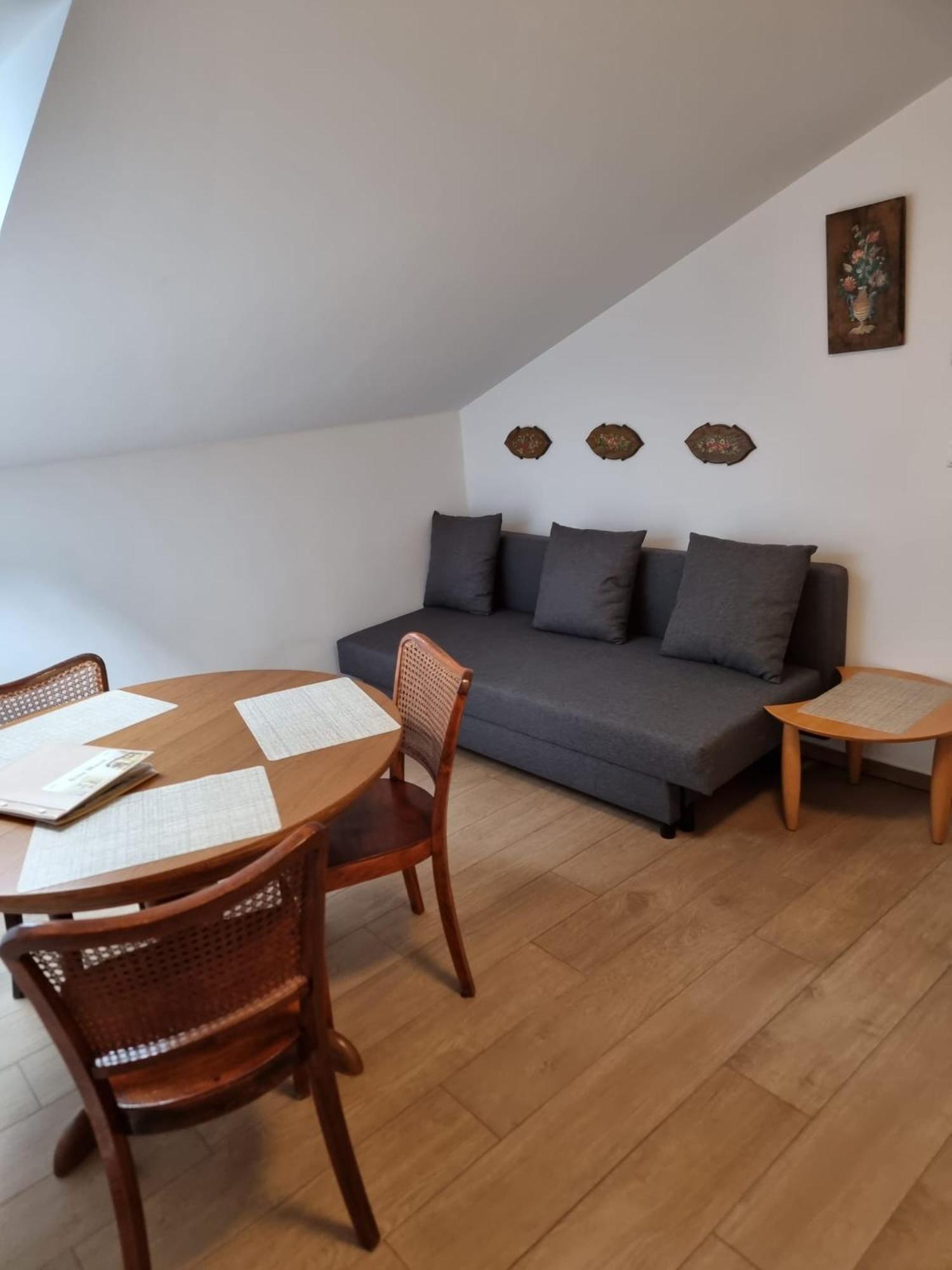 Villa Musik - Historical Apartments In Баден Екстериор снимка