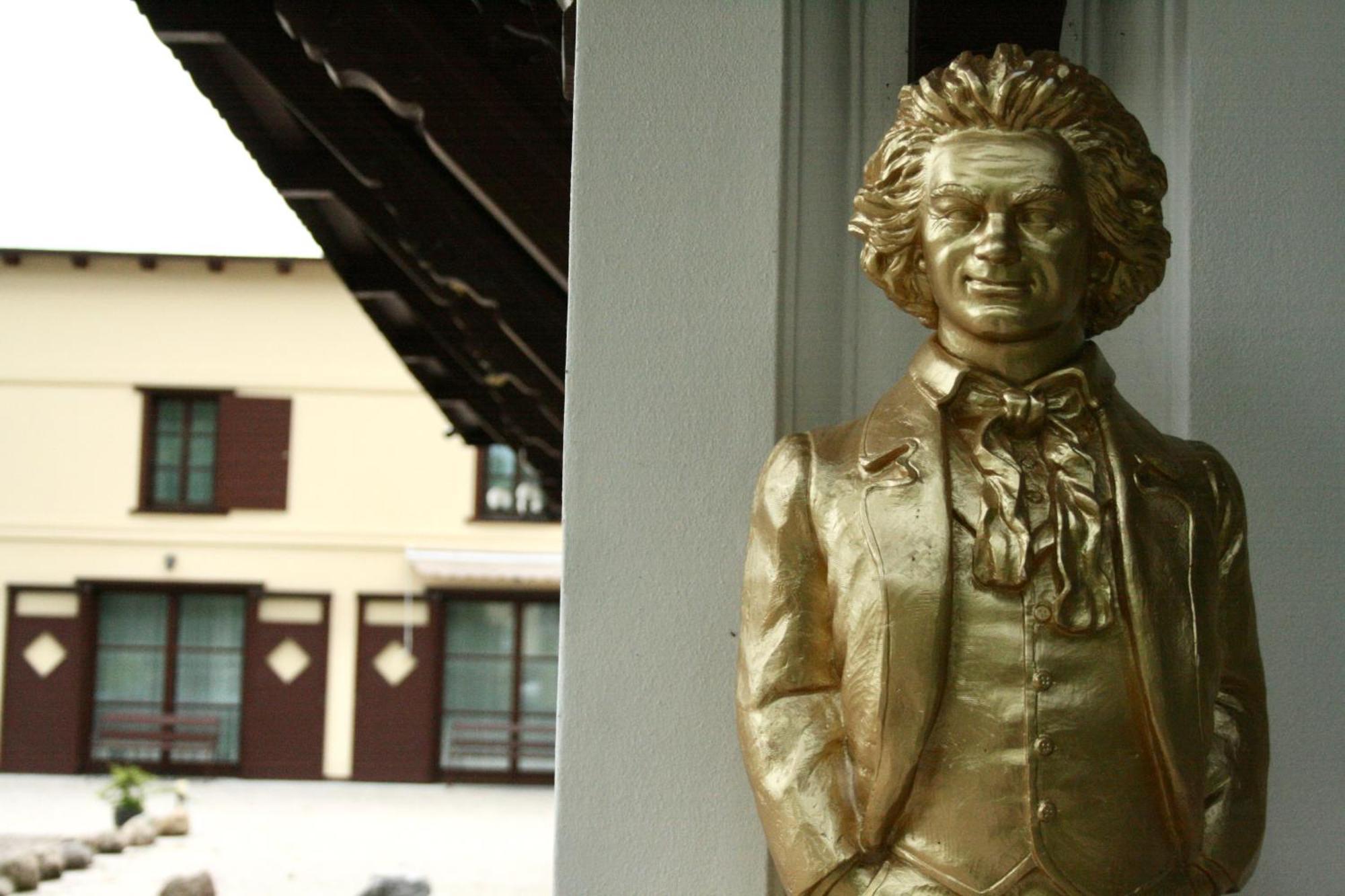 Villa Musik - Historical Apartments In Баден Екстериор снимка
