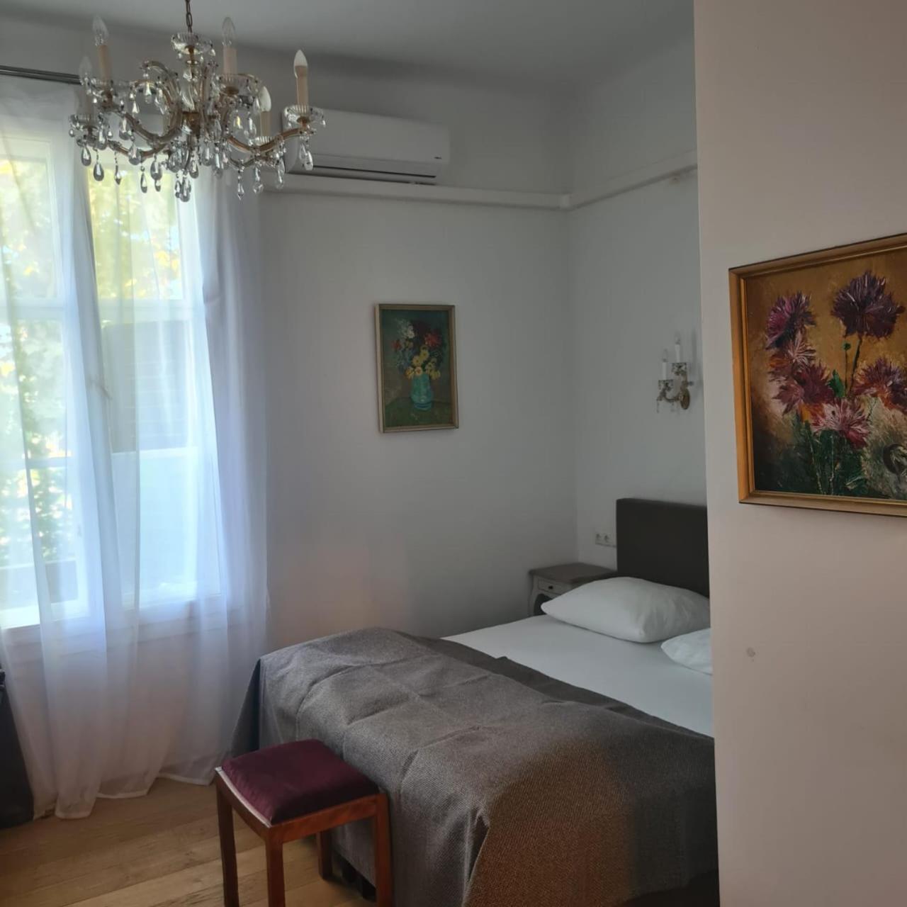 Villa Musik - Historical Apartments In Баден Екстериор снимка